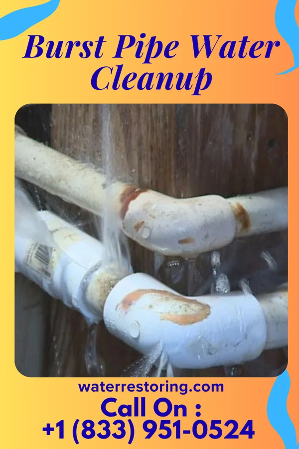 Burst Pipe Water Cleanup in Peachland, NC