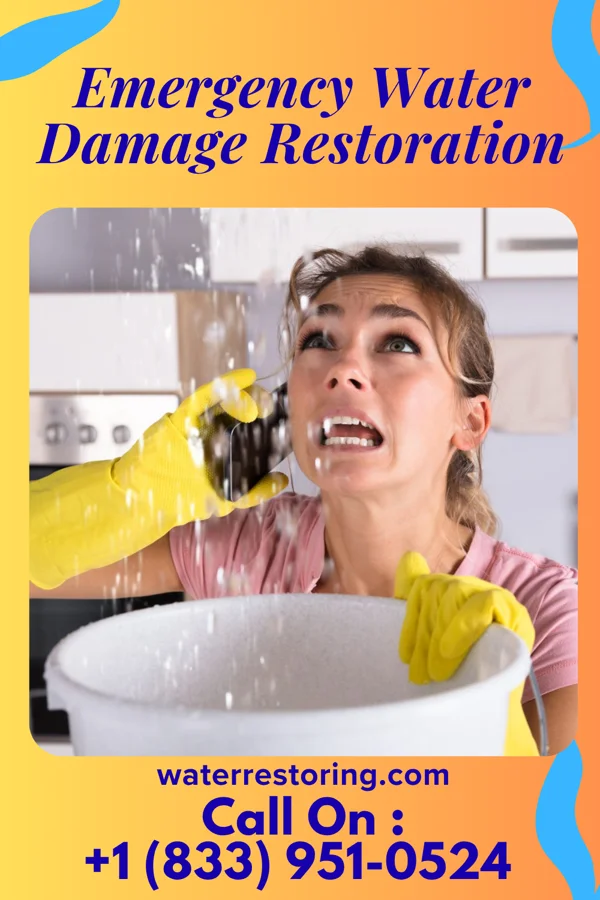 Emergency Water Damage Restoration in Peachland, NC