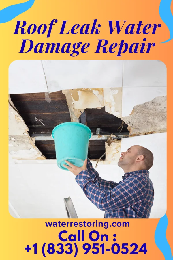 Roof Leak Water Damage Repair in Peachland, NC