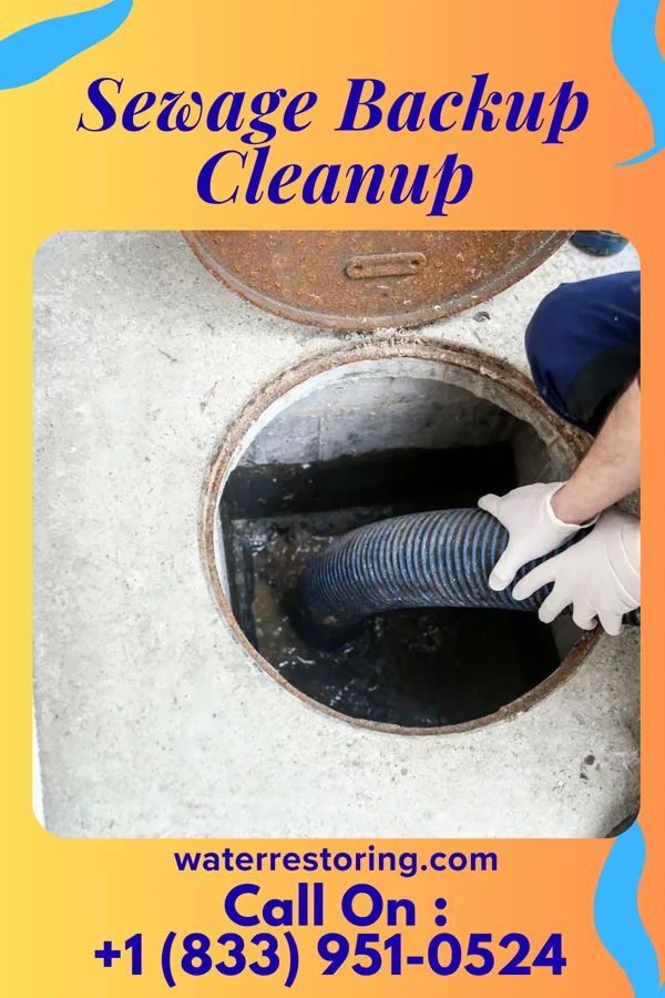 Sewage Backup Cleanup in Peachland, NC