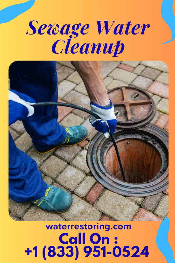 Sewage Water Cleanup in Peachland, NC
